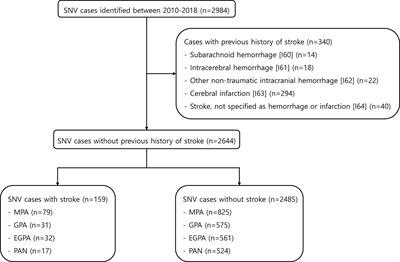 Risk of Stroke in Systemic Necrotizing Vasculitis: A Nationwide Study Using the National Claims Database